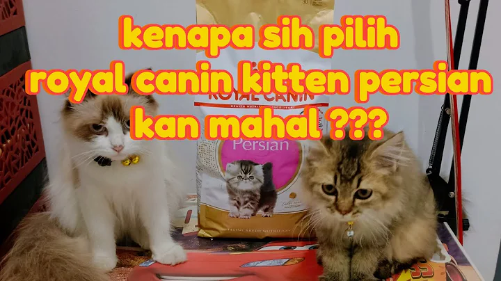 Watch the video about Makanan Kucing Terbaik | ROYAL CANIN KITTEN PERSIAN REVIEW