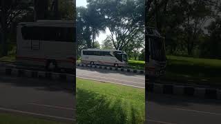 Bis Basuri‼️ Goyang Maumere😂