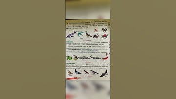 #class4 science chapter 4 Adaptation in animals