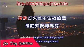 Vietsub | Trái Tim Tổn Thương Còn Có Thể Yêu Ai - Hoa Tỷ | 花姐 - 被你伤过的心还能再爱谁