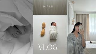 드디어 만난 우리 아기 •• 👼🏻 꼬미 탄생 일기 • 출산 브이로그 • 조리원 생활
