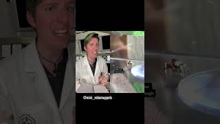 Adorable Spider Anomaly