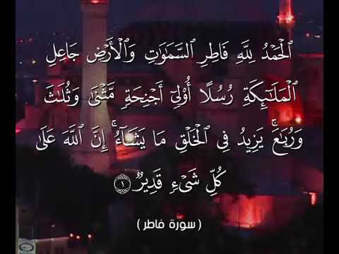 سورة فاطر قال تعالى الحمد لله فاطر السموات والأرض جاعل الملائكة رسلا القران الكريم