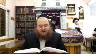 הרב שרגא זילברמן - שיעור באגדות חז"ל - עין יעקב - י