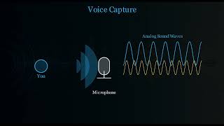 How Voice Assistants Actually Work (Visualized)