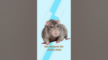 Why do notebooks have margins? Real truth #shorts #facts #kids #students #amazingfacts #new