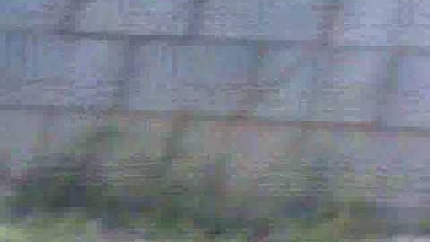 EROCKASS CARRINHO DE COMPRAS - parte 1