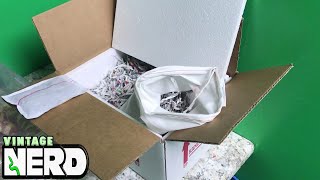 You Just Received Your New Reptile What To Do Next Part 1