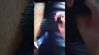 Dont Give Up -Spirit Untamed- Not My Video