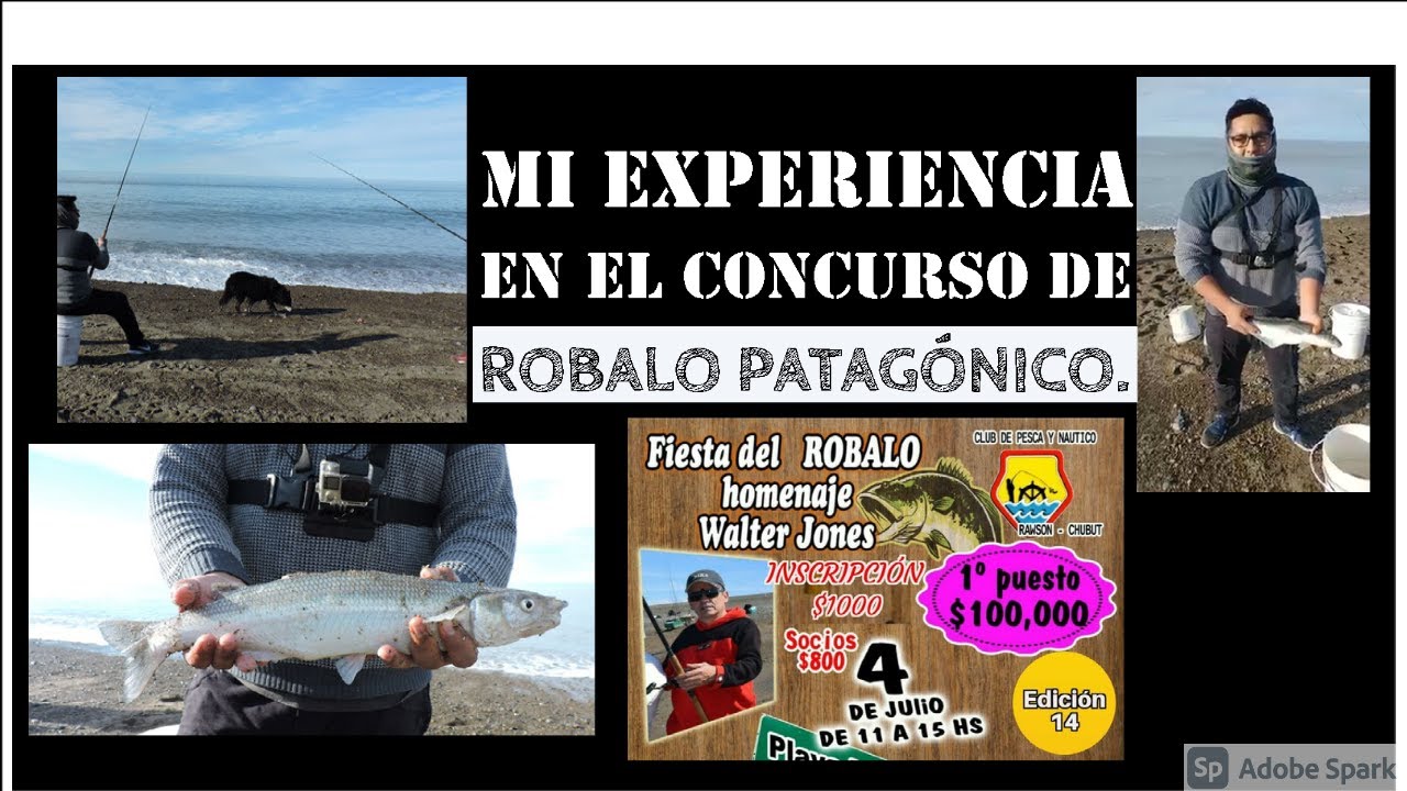 Fiesta del Robalo Patagónico - Rawson-  Chubut - Dos capturas inolvidables!!!