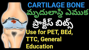 Cartilage bone,practice bits,in telugu,SRINU PET CREATIONS,cartilage tissue,cartilage fibers, DSC CL