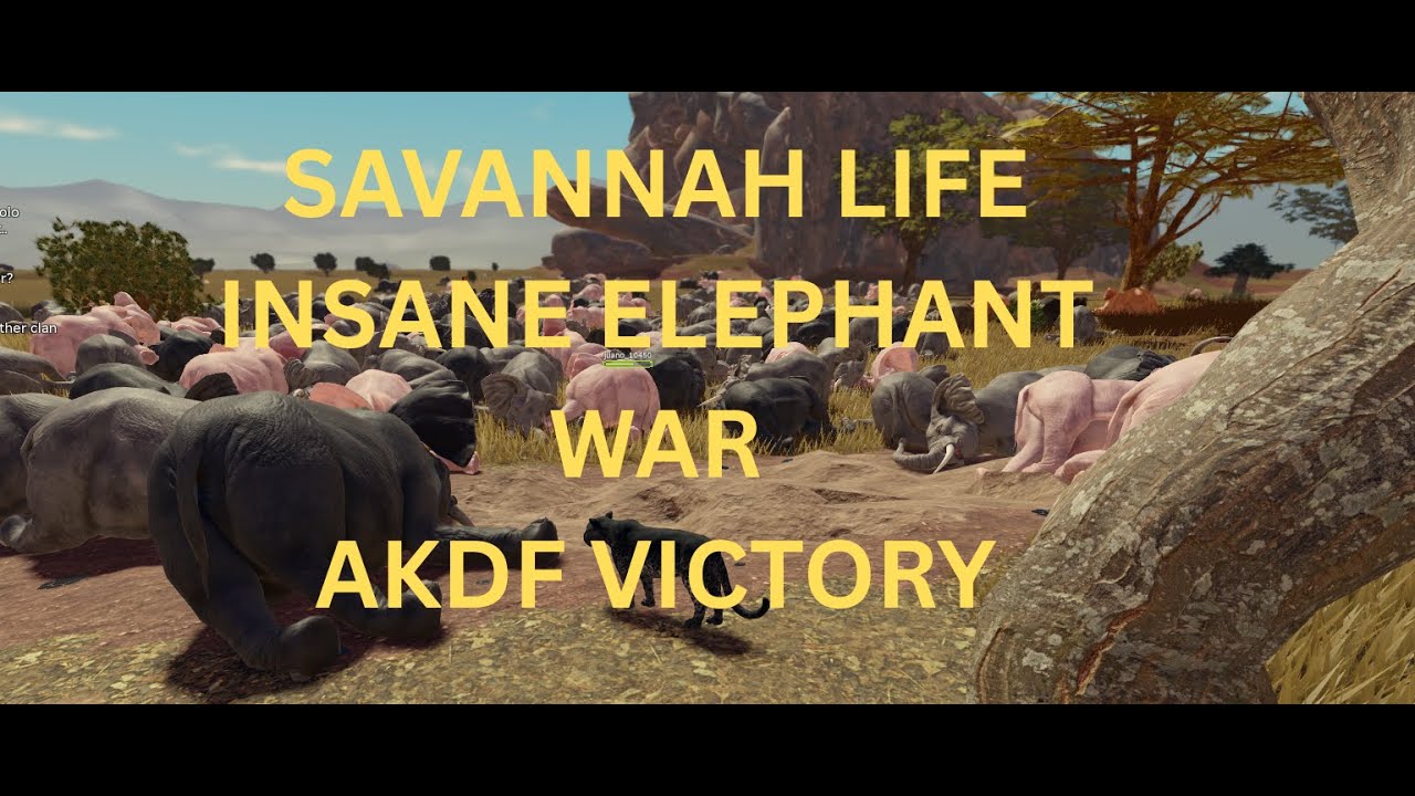 SAVANNAH LIFE INSANE ELEPHANT WAR - AKDF W -