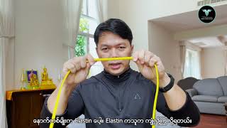 Myofascial Lines