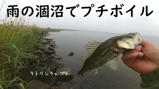 雨の涸沼でプチボイル　ー　涸沼【シーバス】－　涸沼シーバス－やまいぬ