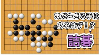 【囲碁】詰碁講座～官図譜辺〜プレミア公開の日程決定編～No544