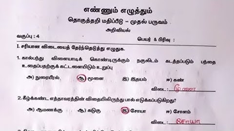 4th Science Term 1 Answer key 2023 | 4th Science summative assessment answers