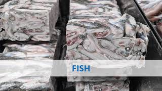 LOWINFOOD commitment in fish value chain