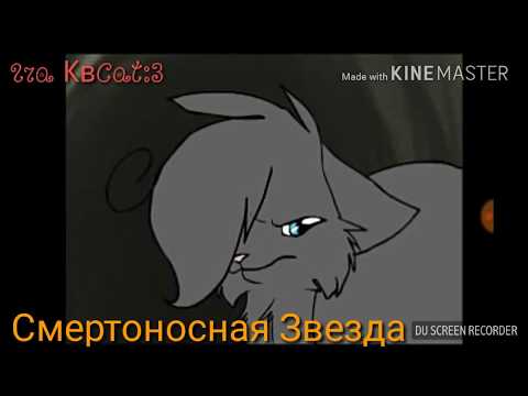 Коты-воители (sarcasm)