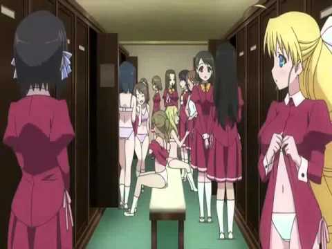 fate stay night episode 1 gogoanime 72 dangerous animals season 2 fate stay night unlimited blade works gogoanime