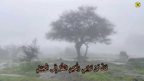 ولما جاء موسى لميقاتنا وكلمه ربه||القارئ علي راشد الوصابي 🎧