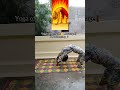 Mahavatar Narasimha Shorts Yoga Viral Trending Motivation Like Share Narasimha Subscribe Shortfeed 