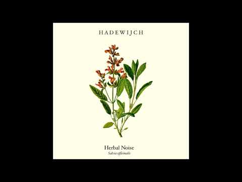 HADEWIJCH - Herbal Noise EP [FULL ALBUM] 2020