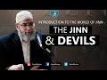 The Jinn & Devils - Karim Abu Zaid