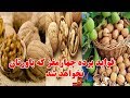 فواید پرده چهارمغز که باورتان نخواهد شد