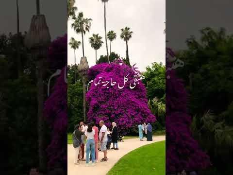 اغنية في عز الالم بنلاقي الامل احمد سعد  