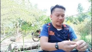 Petua Melegakan Sakit Ulu Hati