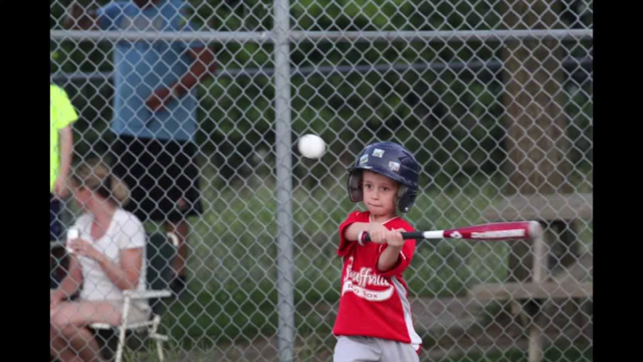 Tiny Seedlings sponsorship of the Junior Rookie division of the