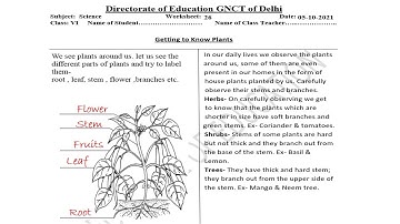Science Worksheet 26 Class 6 (5/10/2021) English Medium | Worksheet 26 Science Class 6 | Answers |