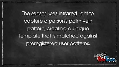 Biometrics Project - Palm Vein Recognition