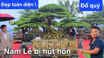 Anh Nam Lê bị hút hồn trước cây đẹp sịn mịn mà không cưỡng được 