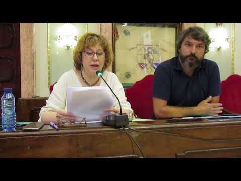 Intervención Pleno presupuestos 2018 Ayuntamiento de Murcia