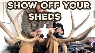 DISPLAY YOUR SHEDS