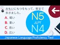 JLPT N5 & N4 Test 2022 [Questions and Translations] Japanese Language Proficiency Test