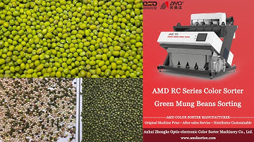 AMD Sortex(RCI4) Mung Bean Optical Color Sorter Machine Price for Monggo/Munggo Beans Sorting