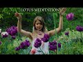 &quot;Lotus Seed Meditation&quot; Soft Spoken REIKI ASMR in my Cottage Garden (15 min)
