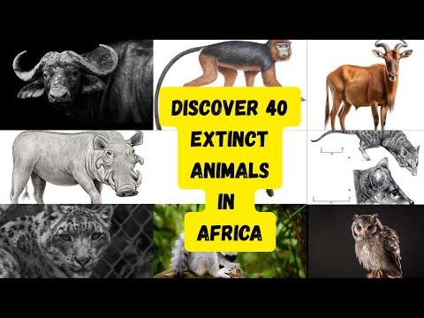 Discover Top 40 Extinct Animals in Africa You Didn't know Existed.