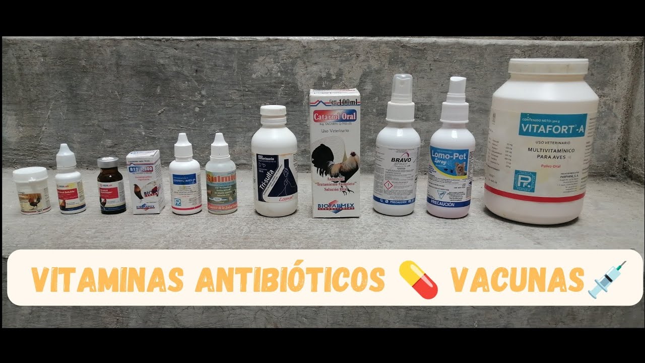 ¿.Cuáles.? Antibióticos, Vitaminas y Vacunas Ocupamos @GallosRF  🐓