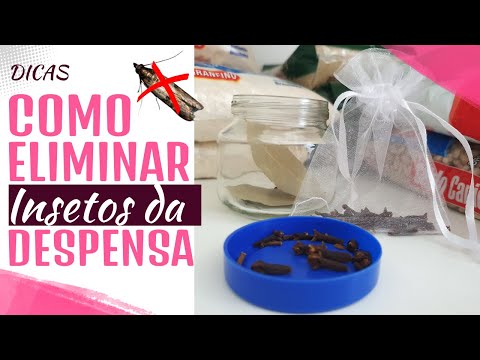 Vídeo: Como se livrar de insetos em cereais e no armário: dicas úteis para donas de casa