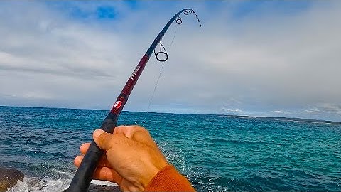 🎣 Câu cá, cắm trại ở Úc | Tập 5 : Lần đầu câu được cá Ngừ Bông | Fishing video - Fishing channel