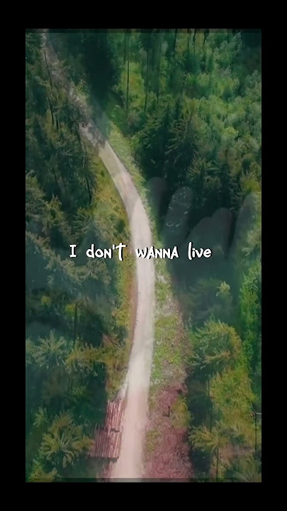 Nothing's gonna change my love for you lyrics edit | Westlife  #shorts