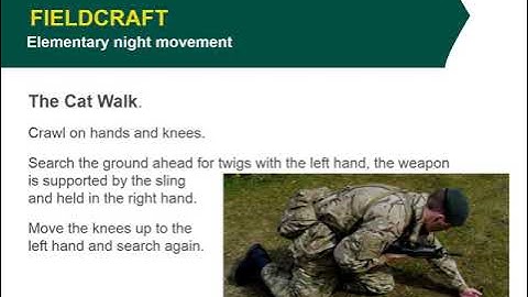 1 6 1 15 2 PP   Elementary night movement