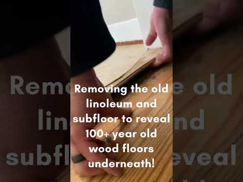 Removing Glue from Hardwood Floors #shorts #diy #cottage #floors
