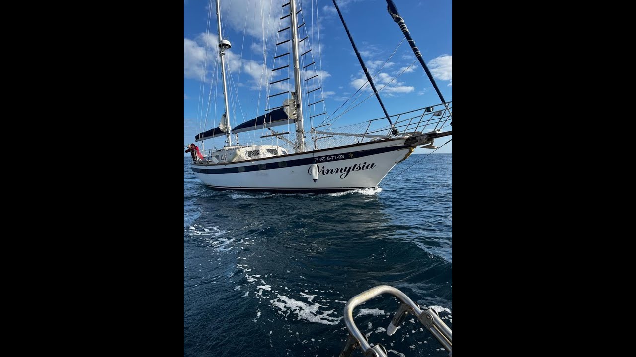 Belliure 35 Endurance for sale