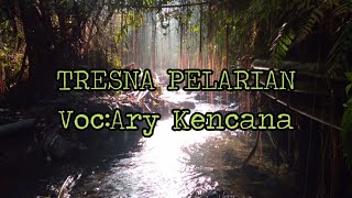 TRESNA PELARIAN Voc:ary kencana #lagubalilawas#lagubalikenangan#tembangkenangan