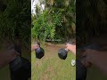 POV: Day of a Top Student