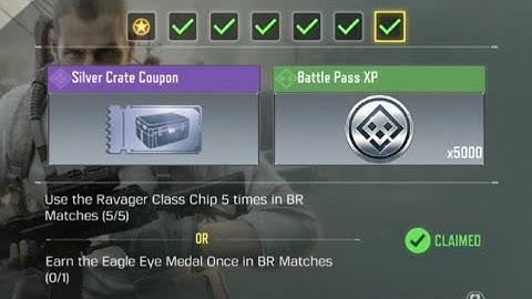 Call of Duty Mobile Use Ravager Class Chip 5 Times in BR Matches Task Complete